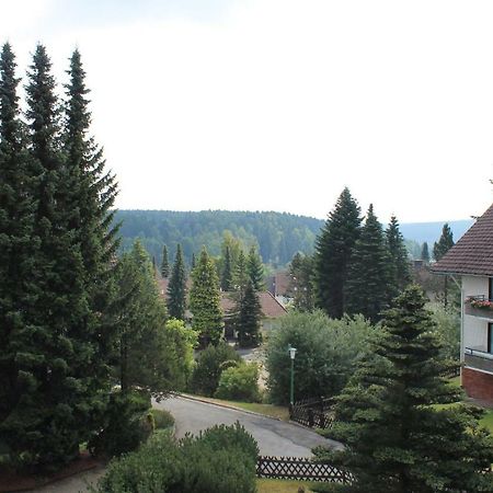 Ferienwohnungen Luebbers Braunlage Exterior photo